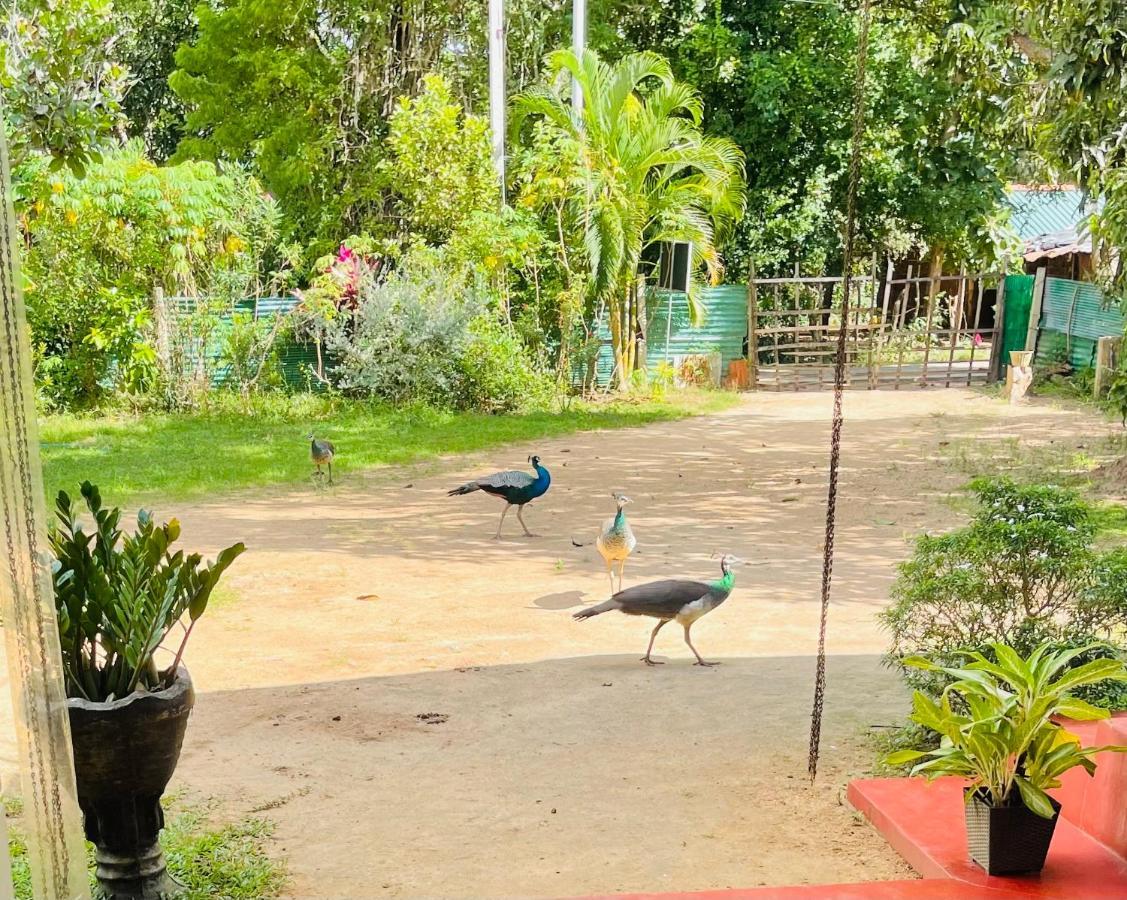 Wijesiri Family Guest House Sigiriya Bagian luar foto